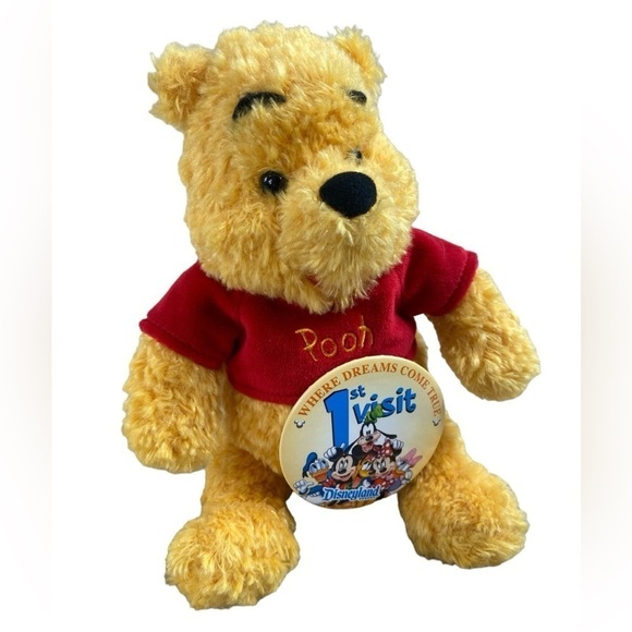 Disney Parks Winnie the Pooh Stuffed Animal w/1st Visit Disneyland Pin - Picture 1 of 13